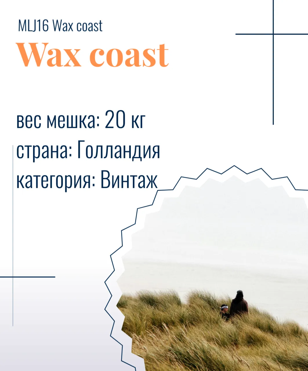 MLJ16 Wax coast