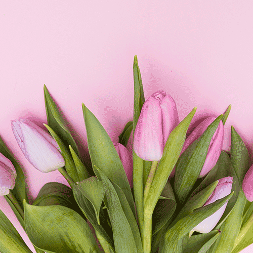 Всё для неё: женские миксы со скидкой 15% – порадуйте своих покупательниц к 8 марта! Всё для неё: женские миксы со скидкой 15% – порадуйте своих покупательниц к 8 марта!